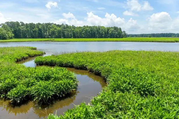 A winding stream flows through lush green marshland beside a calm lake.