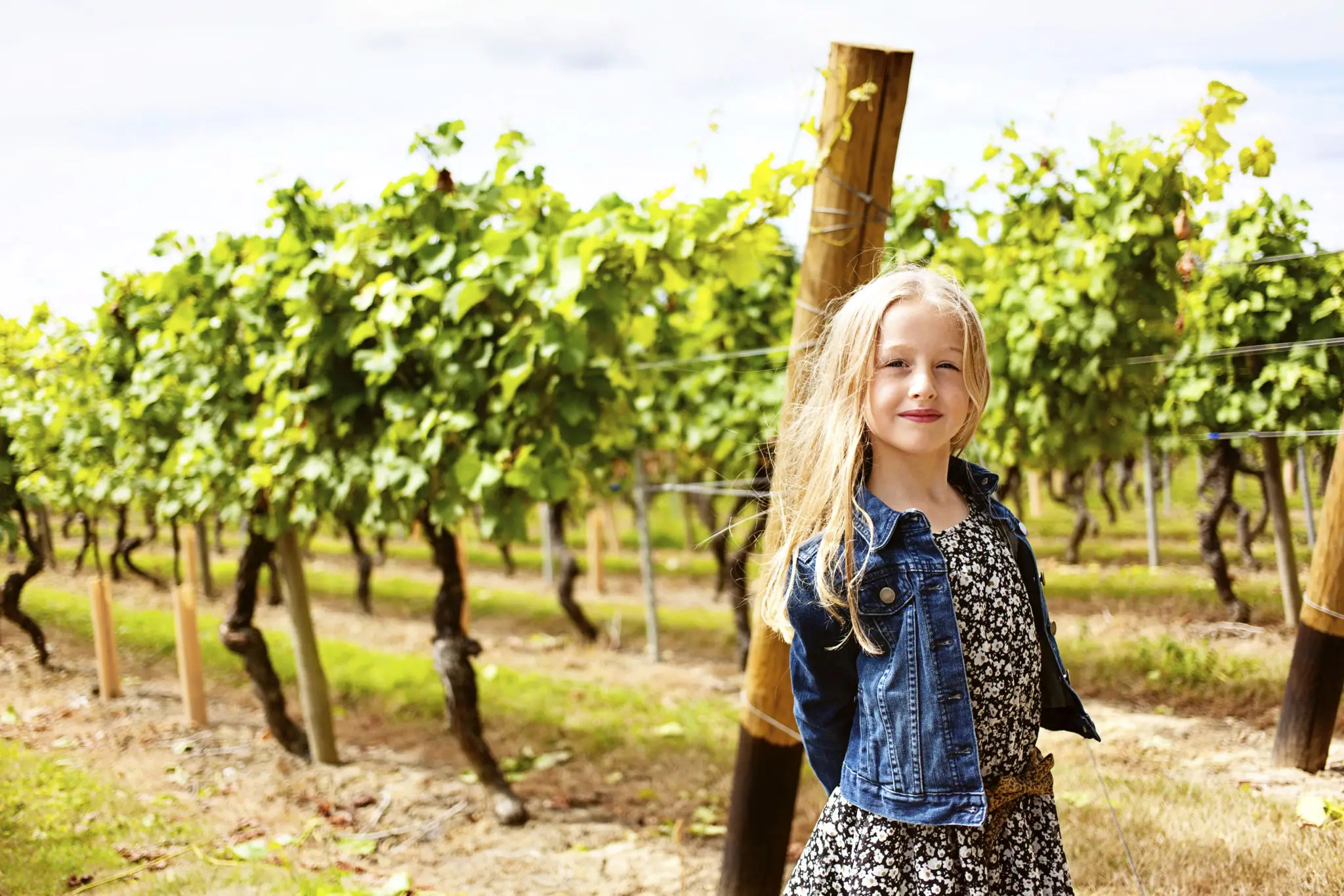 A young girl standing in a vineyard on a sunny day.